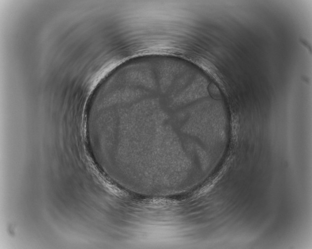 X0000101171077200807251127
