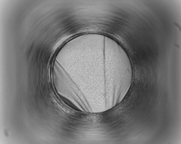 X0000101171078200807251127