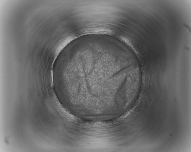X0000101171079200807251127