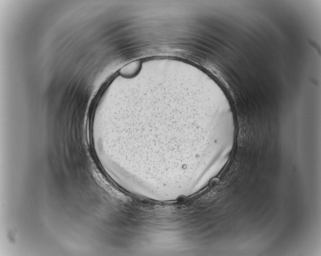 X0000101171080200807251127