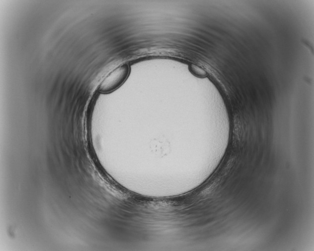X0000101171082200807251127