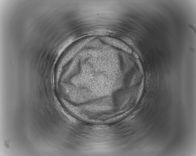 X0000101171083200807251127