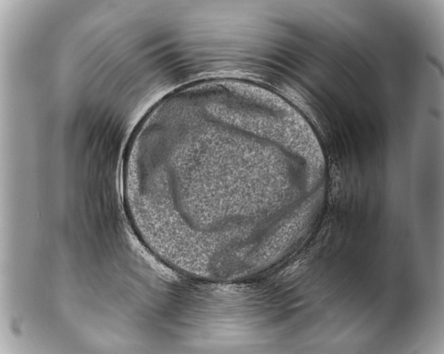 X0000101171084200807251127