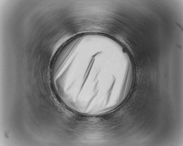 X0000101171085200807251127