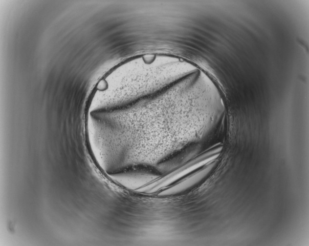 X0000101171088200807251127