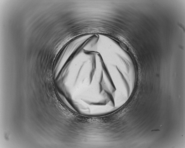 X0000101171089200807251127