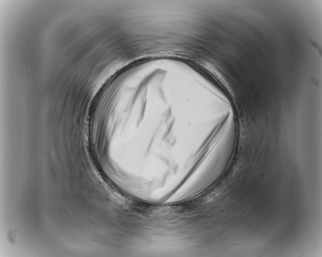 X0000101171093200807251127