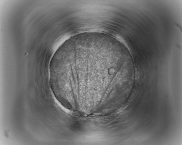 X0000101171095200807251127