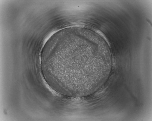 X0000101171099200807251127