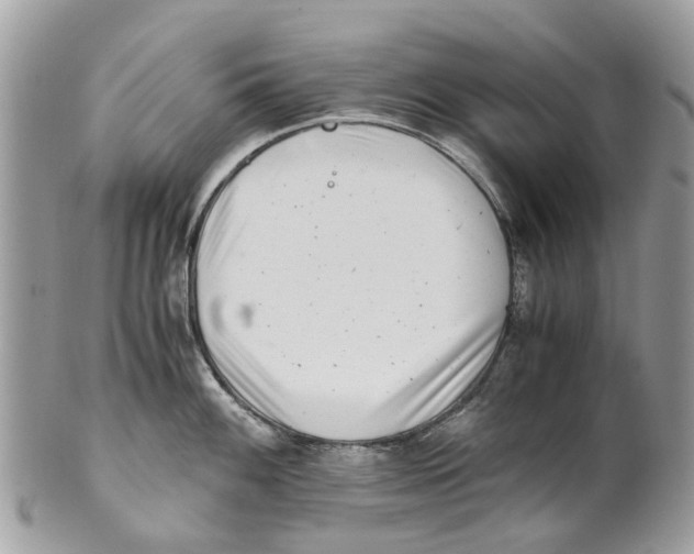 X0000101171100200807251127