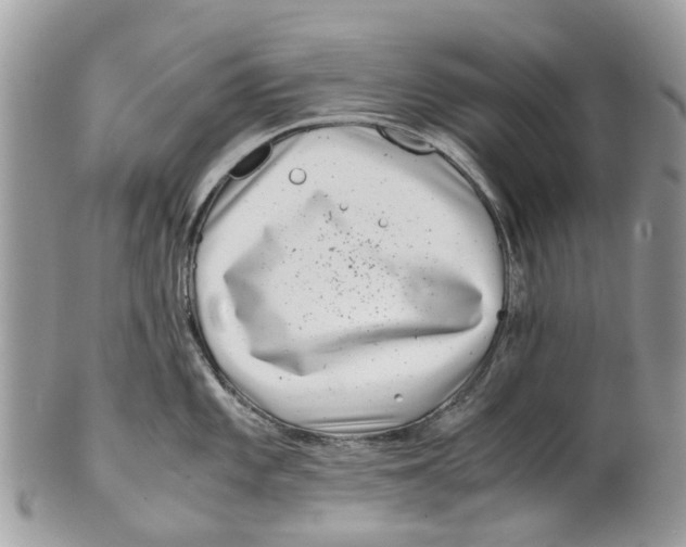 X0000101171101200807251127