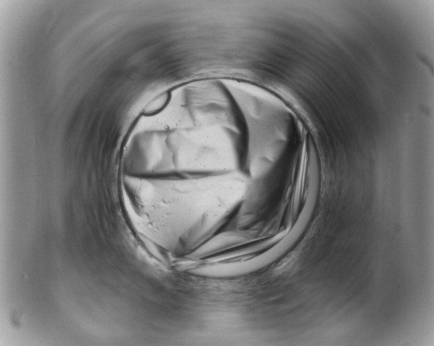X0000101171102200807251127