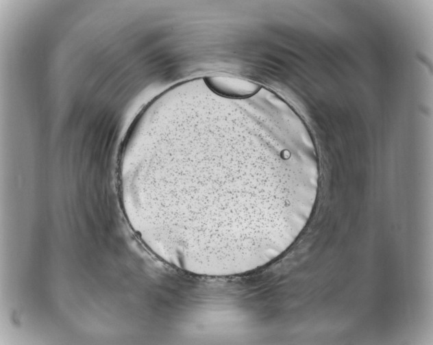 X0000101171104200807251127