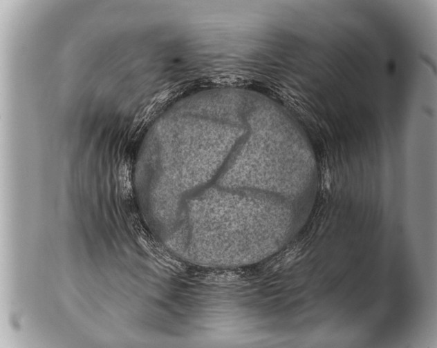 X0000101171106200807251126