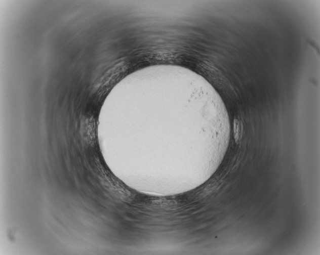 X0000101171107200807251126