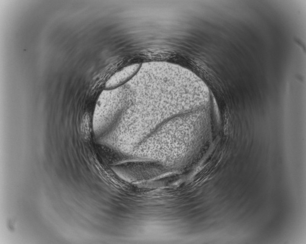 X0000101171108200807251126