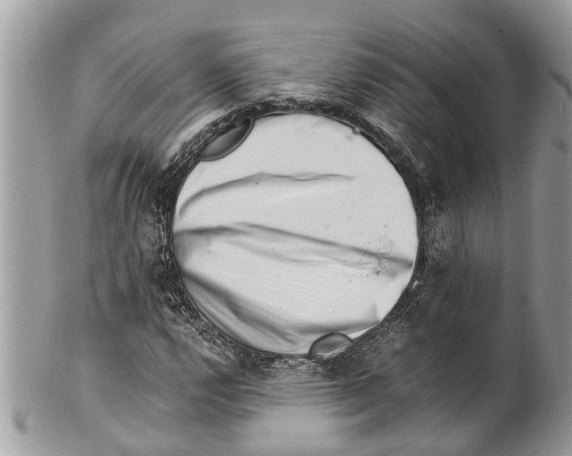 X0000101171112200807251126