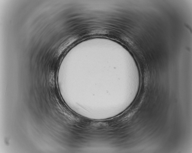 X0000101171113200807251126
