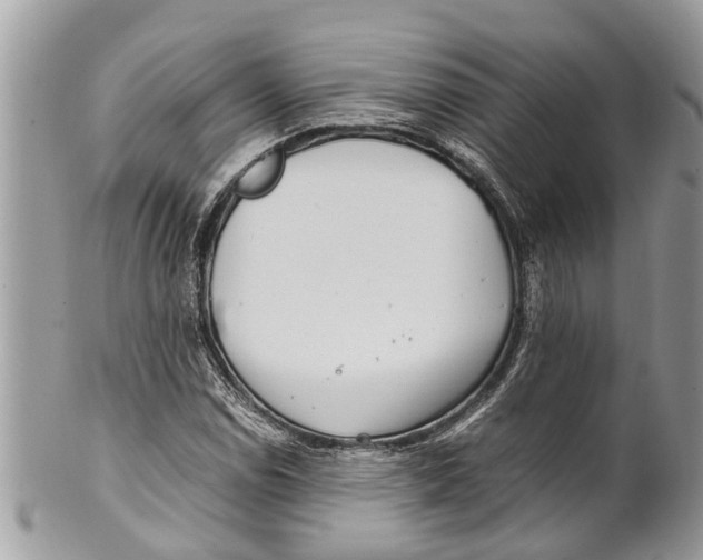 X0000101171114200807251126