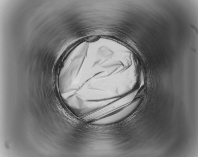 X0000101171116200807251126