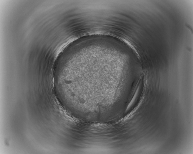 X0000101171117200807251126