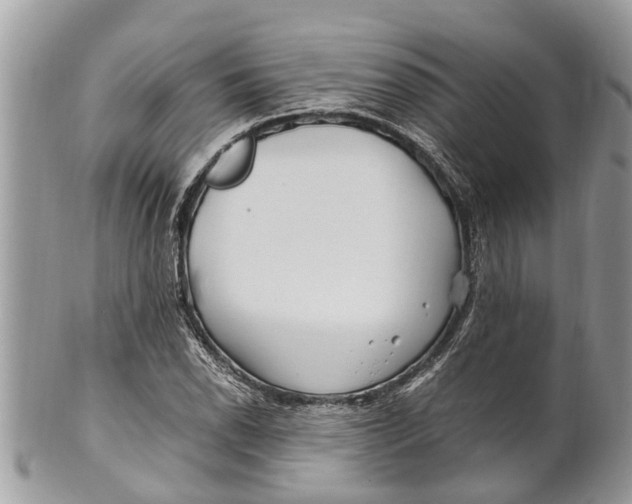 X0000101171118200807251126