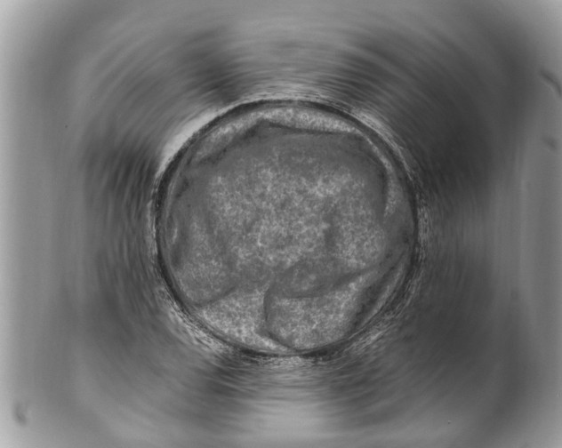 X0000101171120200807251126