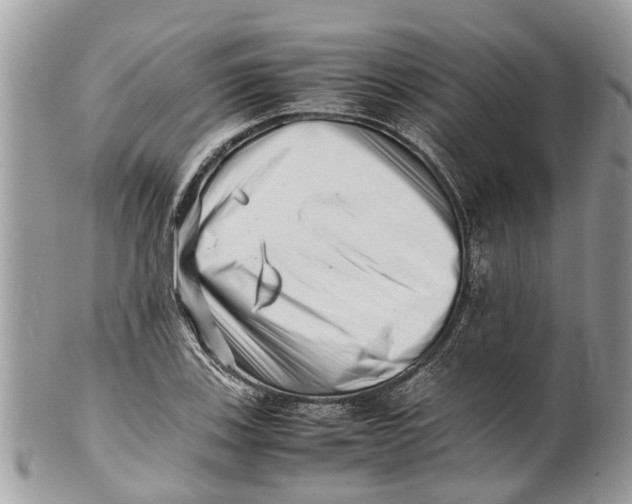 X0000101171123200807251127