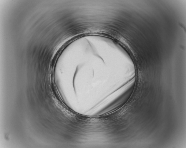 X0000101171124200807251127