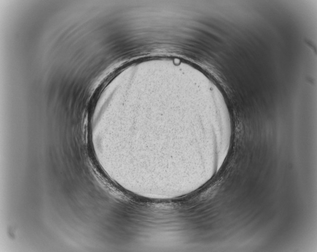 X0000101171126200807251127