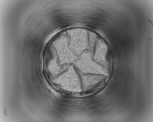 X0000101171127200807251127