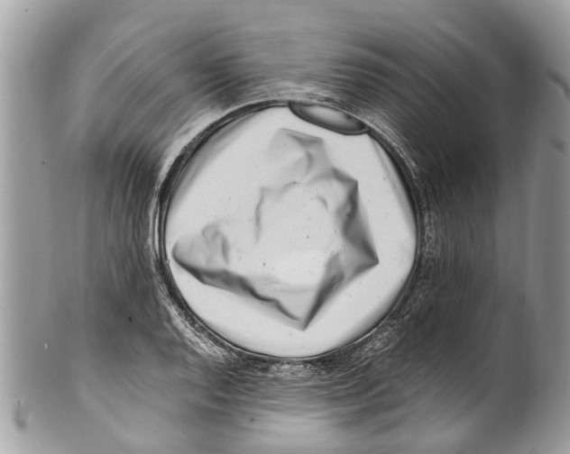 X0000101171128200807251127
