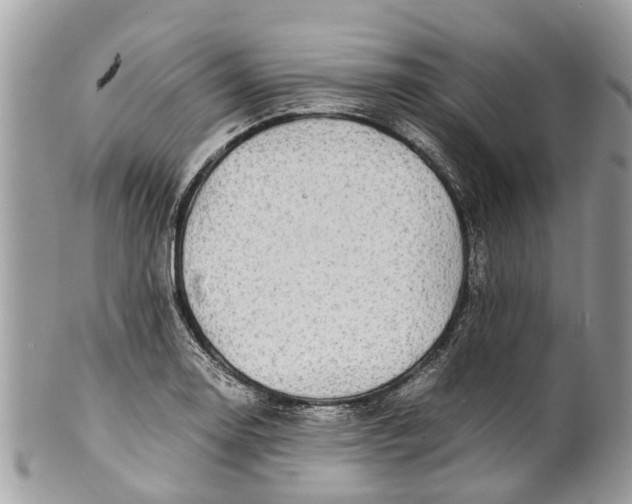 X0000101171130200807251127