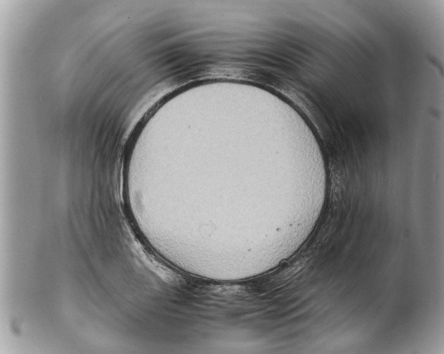 X0000101171131200807251127