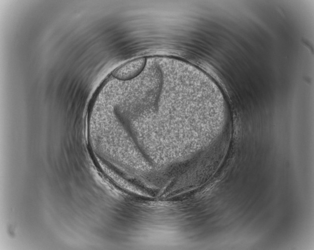 X0000101171132200807251127