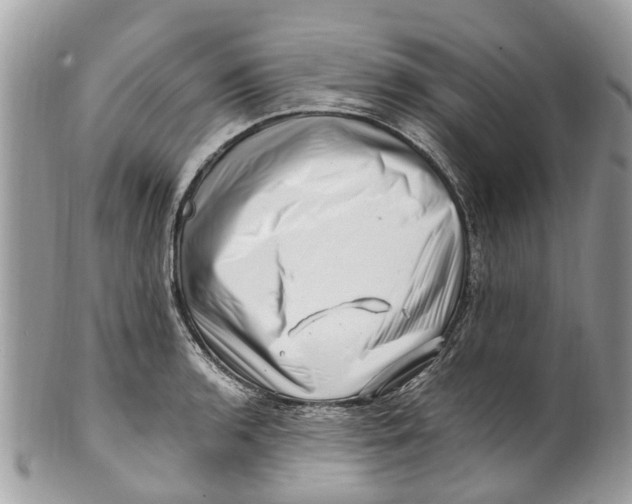 X0000101171136200807251127