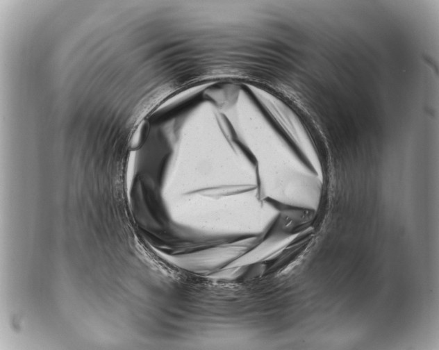 X0000101171137200807251127