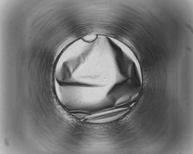 X0000101171138200807251127