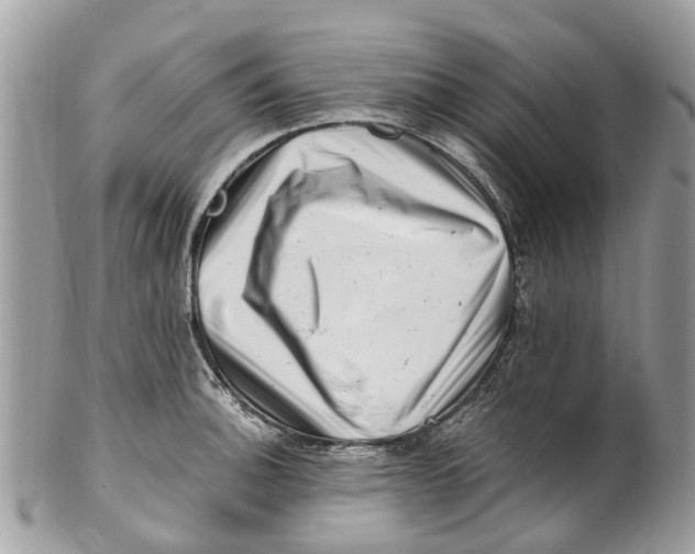 X0000101171140200807251127