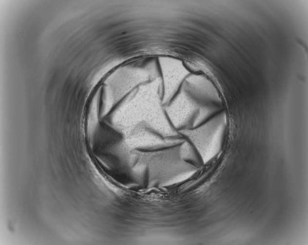 X0000101171141200807251127