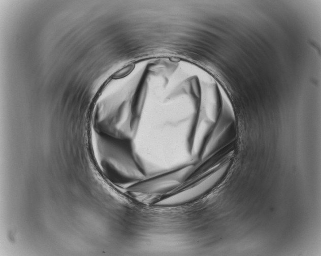 X0000101171142200807251127