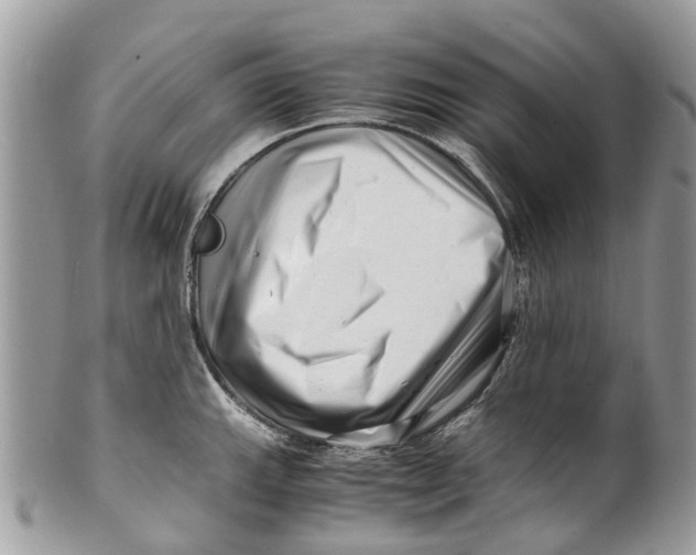 X0000101171143200807251127
