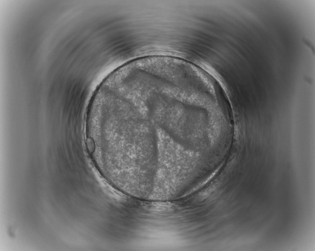 X0000101171144200807251127