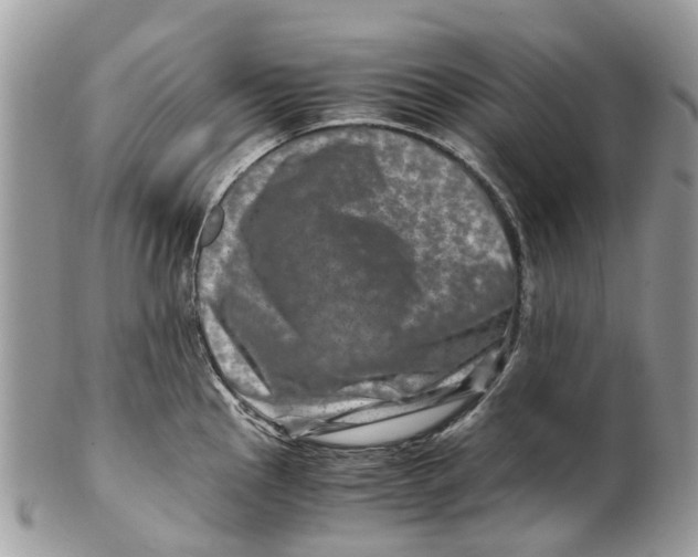 X0000101171145200807251127