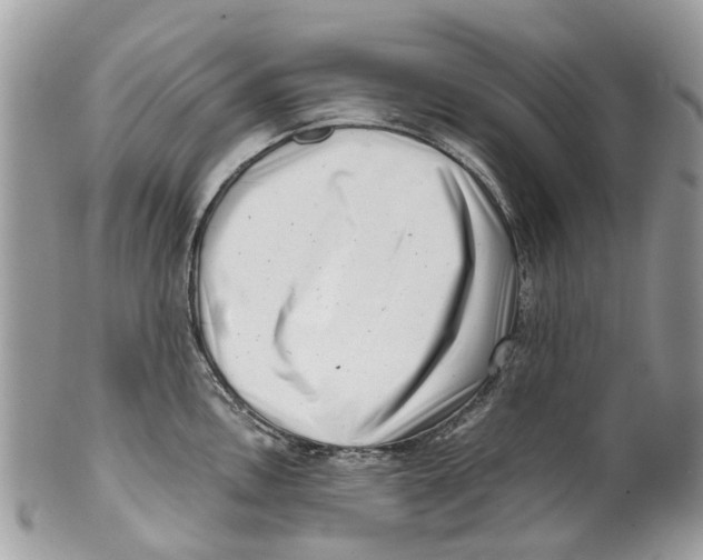 X0000101171146200807251127