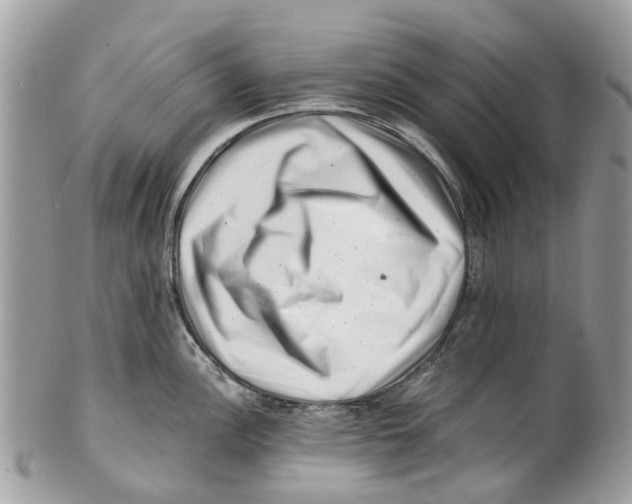 X0000101171148200807251127