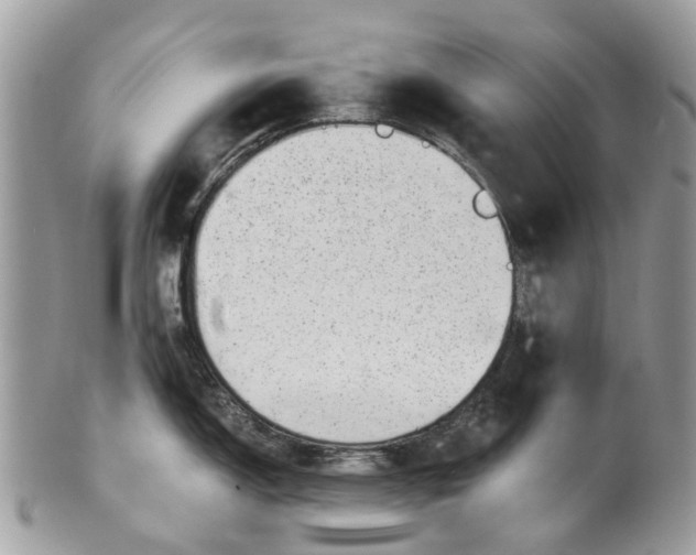 X0000101171150200807251127