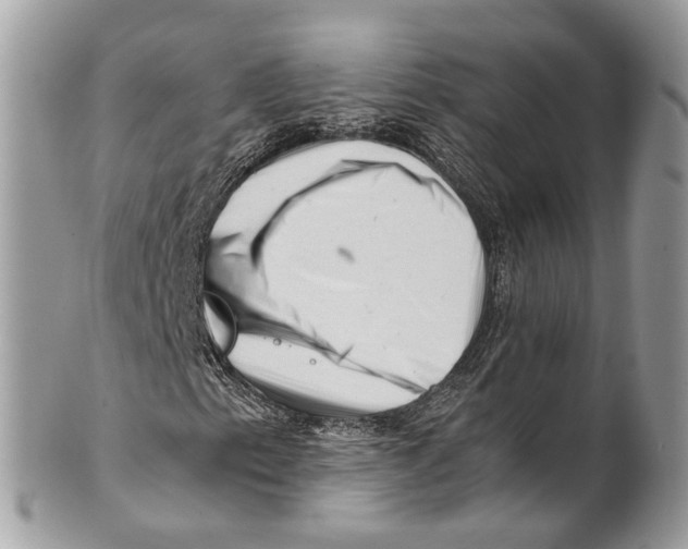 X0000101171153200807251126