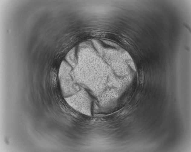 X0000101171154200807251126