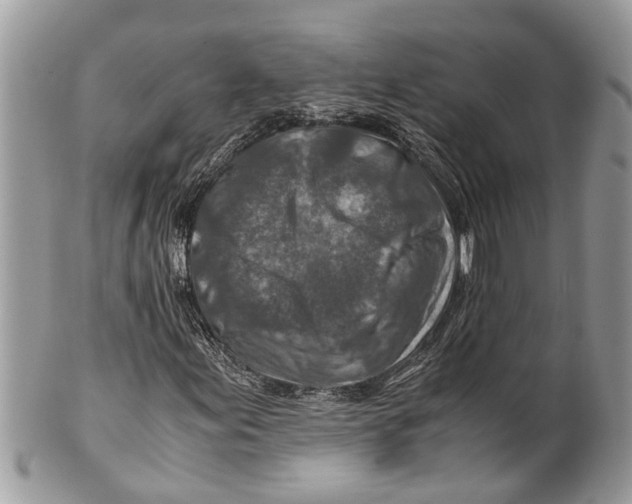 X0000101171155200807251126
